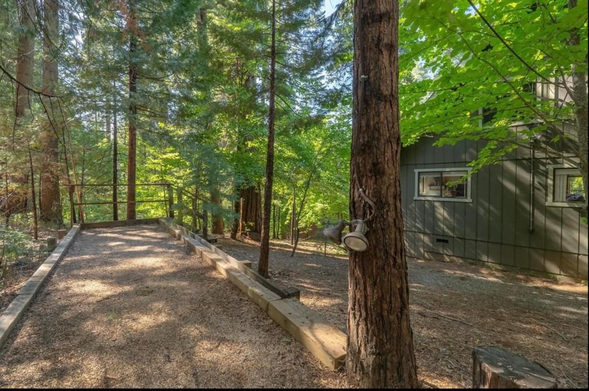 Lighted bocce court winding through the trees