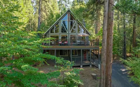 Caisleán Bear cabin among tall evergreens