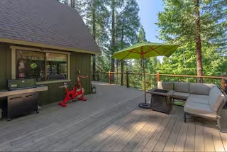 Outdoor lounge and fire pit surrounded by forest